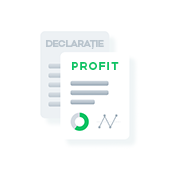 declaratie_icon